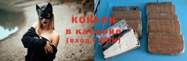 тгк Алзамай