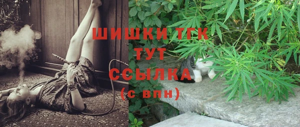 мет Алексин