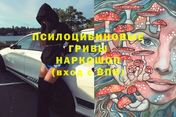 мет Алексин
