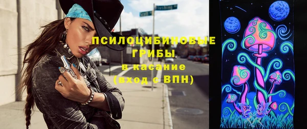 тгк Алзамай